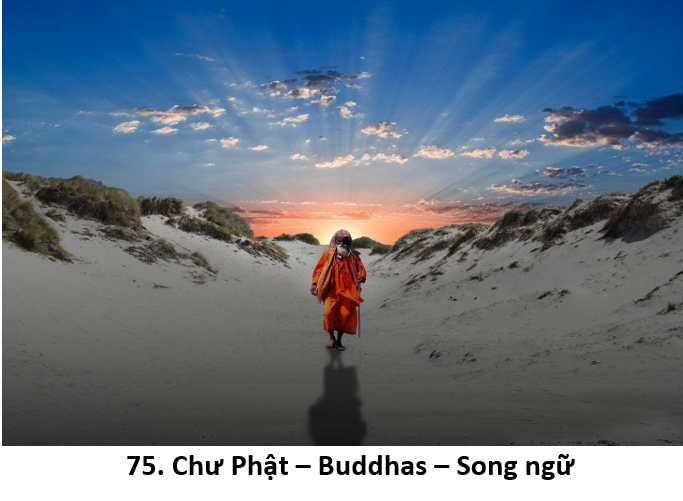 75. Buddhas 11