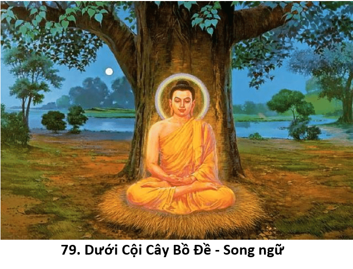 79. Bodhi tree 1