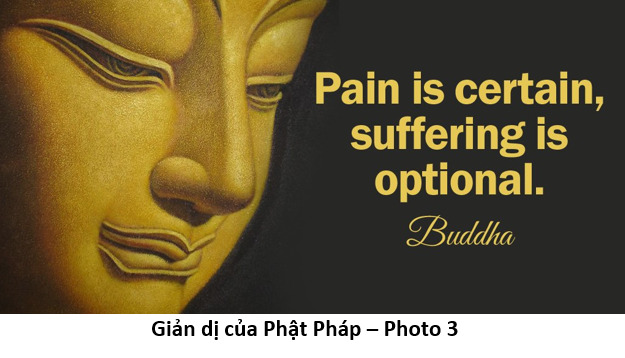 86 Giản dị của Phật Pháp 3 pain