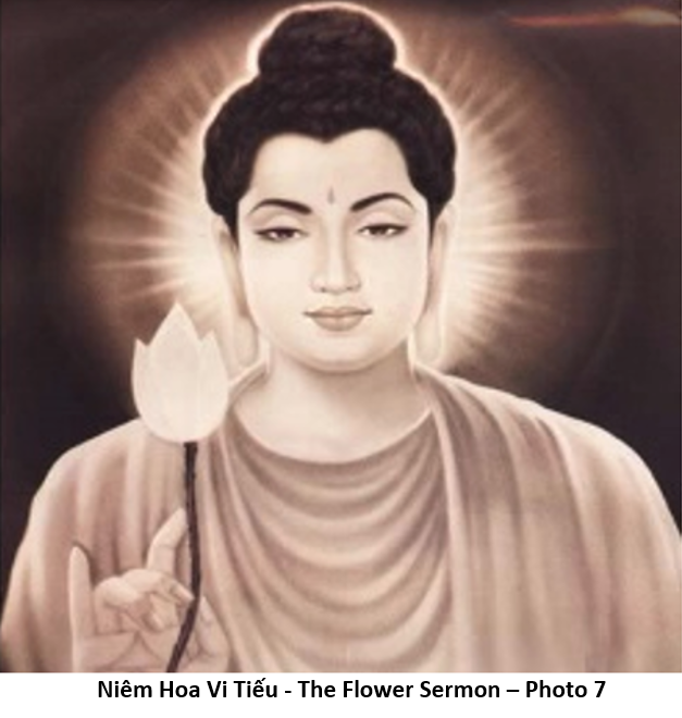 91 Ý Nghĩa Hoa Sen Trong Đạo Phật 7