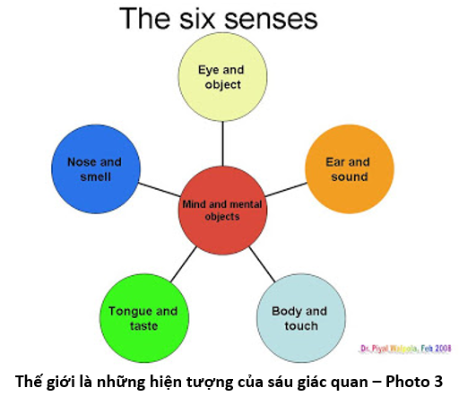 6 ощущение. 6senses. Ашкюди Six sense. Our senses experiences. Six senses of a man see smell.