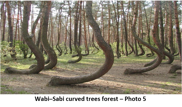 09 wabi sabi tree 5