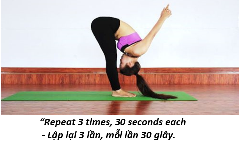 03. yoga 3