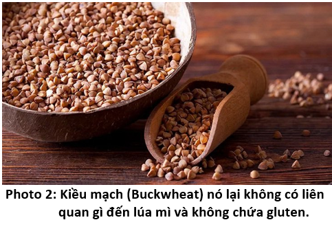 05. buckwheat 2