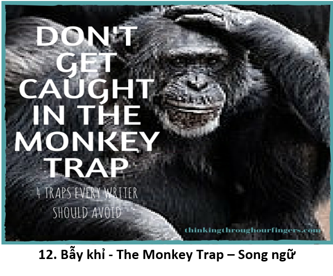 12. Monkey trap 1 title