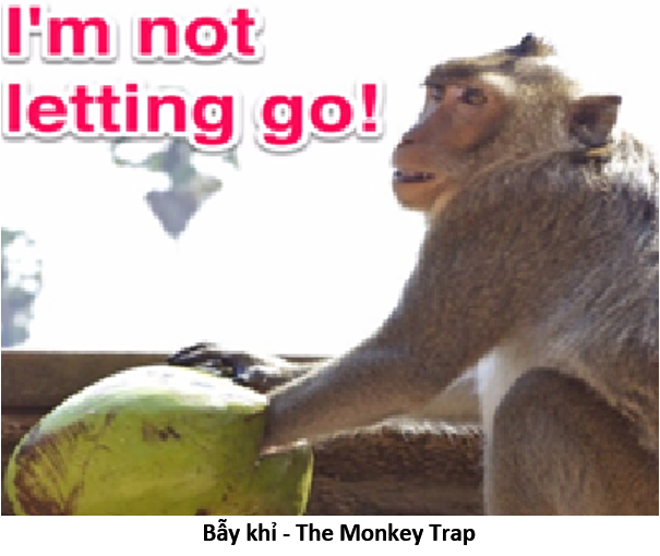 12. Monkey trap 1