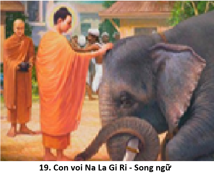 19. Elephant 1