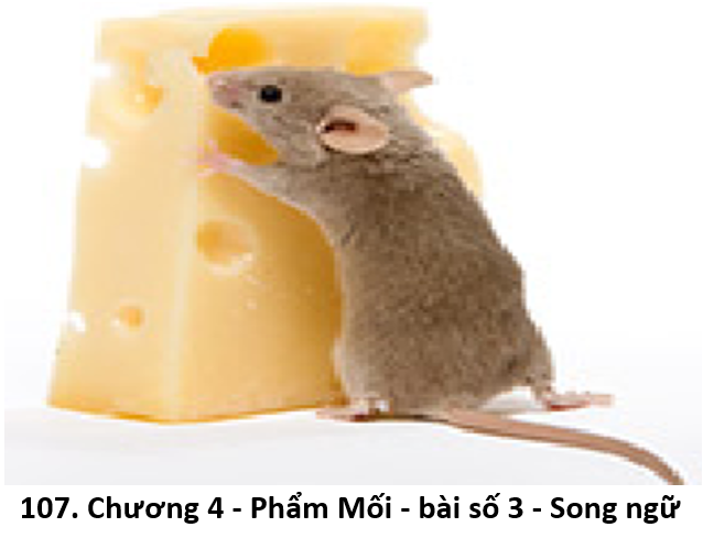 33. Chuột