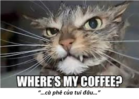 10. mèo café 