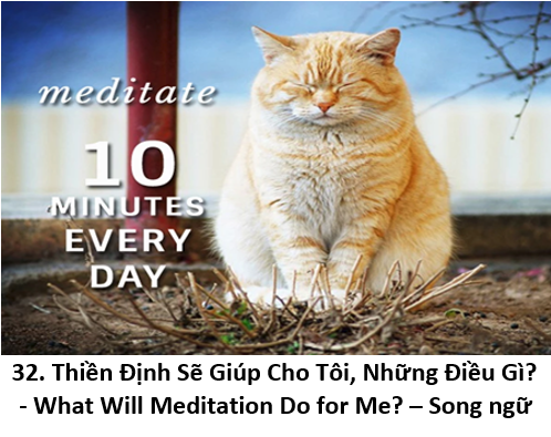 32. Meditation help 1 cat