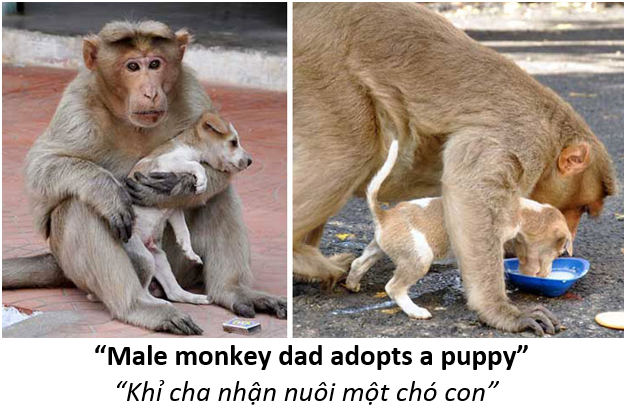 5 Somebodys father 7 monkey