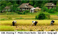 138. Chương 7 - Phẩm Chum Nước - bài số 4 - The Rice Field - Câu hỏi về tính chất của thửa ruộng - Song ngữ
